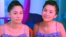 Twins - 背盐的驴子