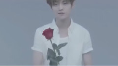 鹿晗,吴世勋(EXO) - 双向暗恋 勋鹿