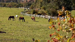 音乐短片 - Falls Creek, Winthrop
