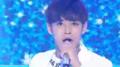 Seventeen - 珍爱