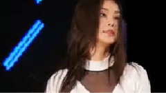 Fiestar - VISTA