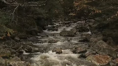 音乐短片 - 相思风雨中