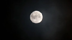 音乐短片 - 彩云追月(葫芦丝)