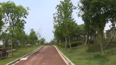 音乐短片 - 把你带回我的草原