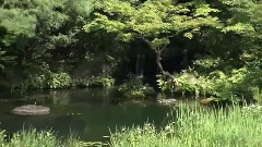 音乐短片 - 陶笛奇遇记