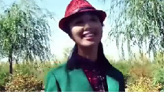 华语群星,民乐群星 - 腾飞的内蒙古