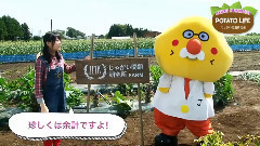 AKB48 - じゃがい問題研究所 川本紗矢のPOTATO LIFE 5