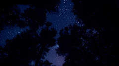 音乐短片 - The Best Starlit Sky In The World