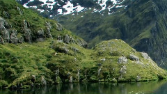 音乐短片 - 色彩激情