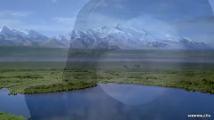 音乐短片 - ..and We Extend Hands to the Sky