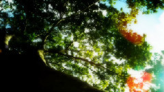 初音未来 - イグドラ