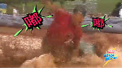 群星 - 