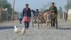 音乐短片 - 沙漠诗行琵琶曲