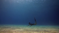 音乐短片 - My World A Film By Madison Stewart