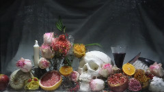 音乐短片 - Vanitas Version Longue