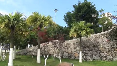 音乐短片 - 献给爱丽丝