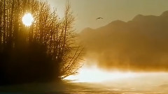 音乐短片 - 雄鹰