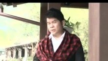 傅振辉 - 金枝玉叶 卡拉OK版