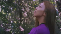 f(x) - 4 Walls