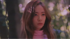 f(x) - 4 Walls