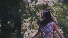 f(x) - 4 Walls