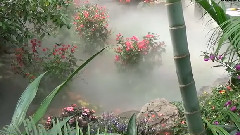 风景,轻音乐,音乐短片 - 上海蝴蝶展上海哈哈镜