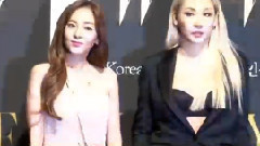Jessica,Krystal(f(x)),Wonder Girls,2NE1,具荷拉(Kara),EXO - W KOREA Love Your活动