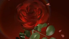 音乐短片 - 我的眼里只有你