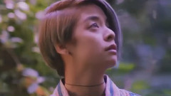 f(x) - 4 Walls
