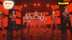 Nine Muses - Wild 现场混合