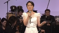 日本群星 - 心の瞳