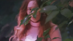 f(x) - 4 Walls