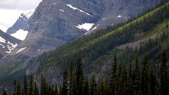 音乐短片 - Альберта (Канада)