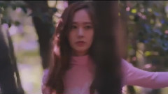 f(x) - 4 Walls