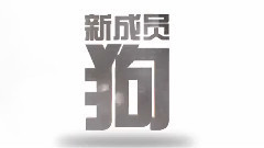 张钧甯,影视原声 - 电影<我的男友和狗>先行版预告片1