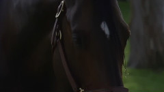 音乐短片 - Gorgeous jump