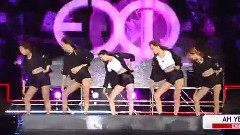 EXID,HaNi(EXID),LE(EXID),率智(EXID),正花(EXID) - Ah Yeah & 上和下(Up&Down)