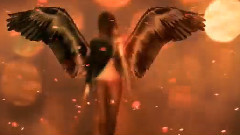 Secret Of Wings