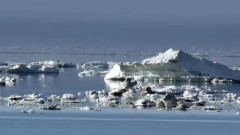 音乐短片 - Wildes Alaska