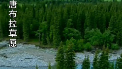 音乐短片 - 阿瓦尔古丽