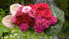 音乐短片 - 水光潋滟