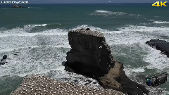 音乐短片 - 掌中