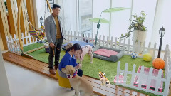 张碧晨 - 不要忘记我爱你