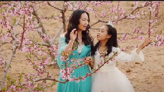 华语群星 - 花开的声音