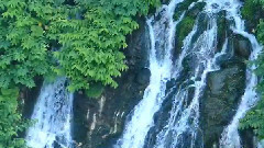 音乐短片 - 美瑛の青い川と白ひげの滝 美瑛観光•北海道 ディスカバーニッポン