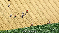 音乐短片 - 看见台湾2013