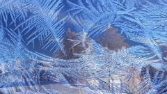 音乐短片 - Winter Waltz