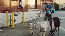 5 Seconds Of Summer - Hey Everybody!