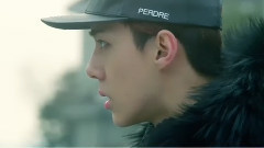 吴世勋(EXO),EXO - SEHEALER 吴世勋