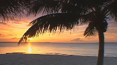 音乐短片 - 天空之城